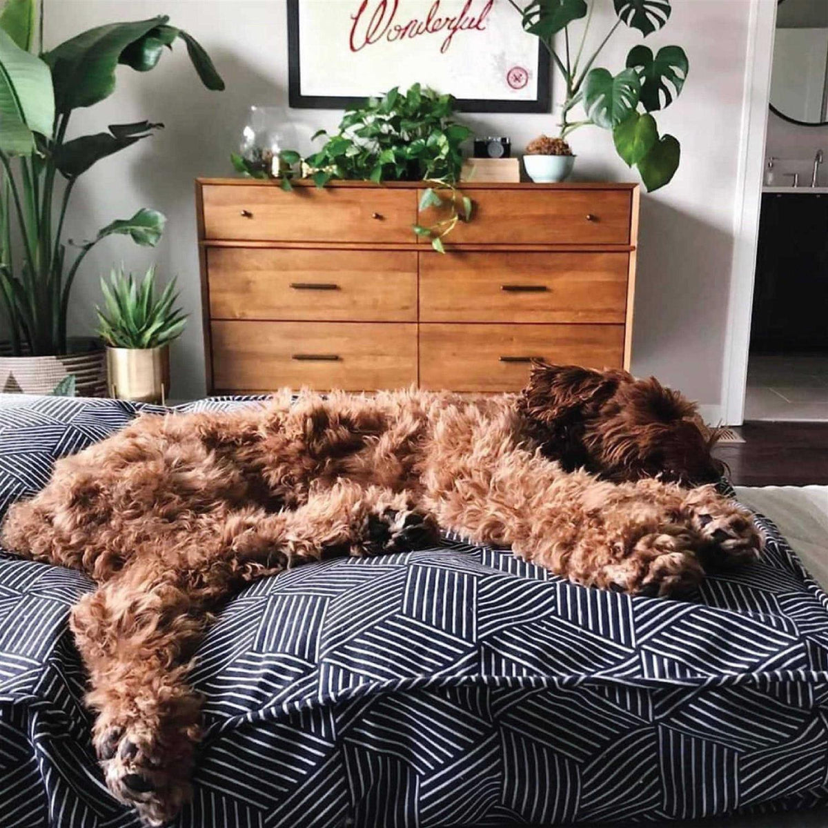 Dog Bed Duvet U11625