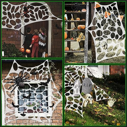 Halloween Mask and Giant Spider Web D3323