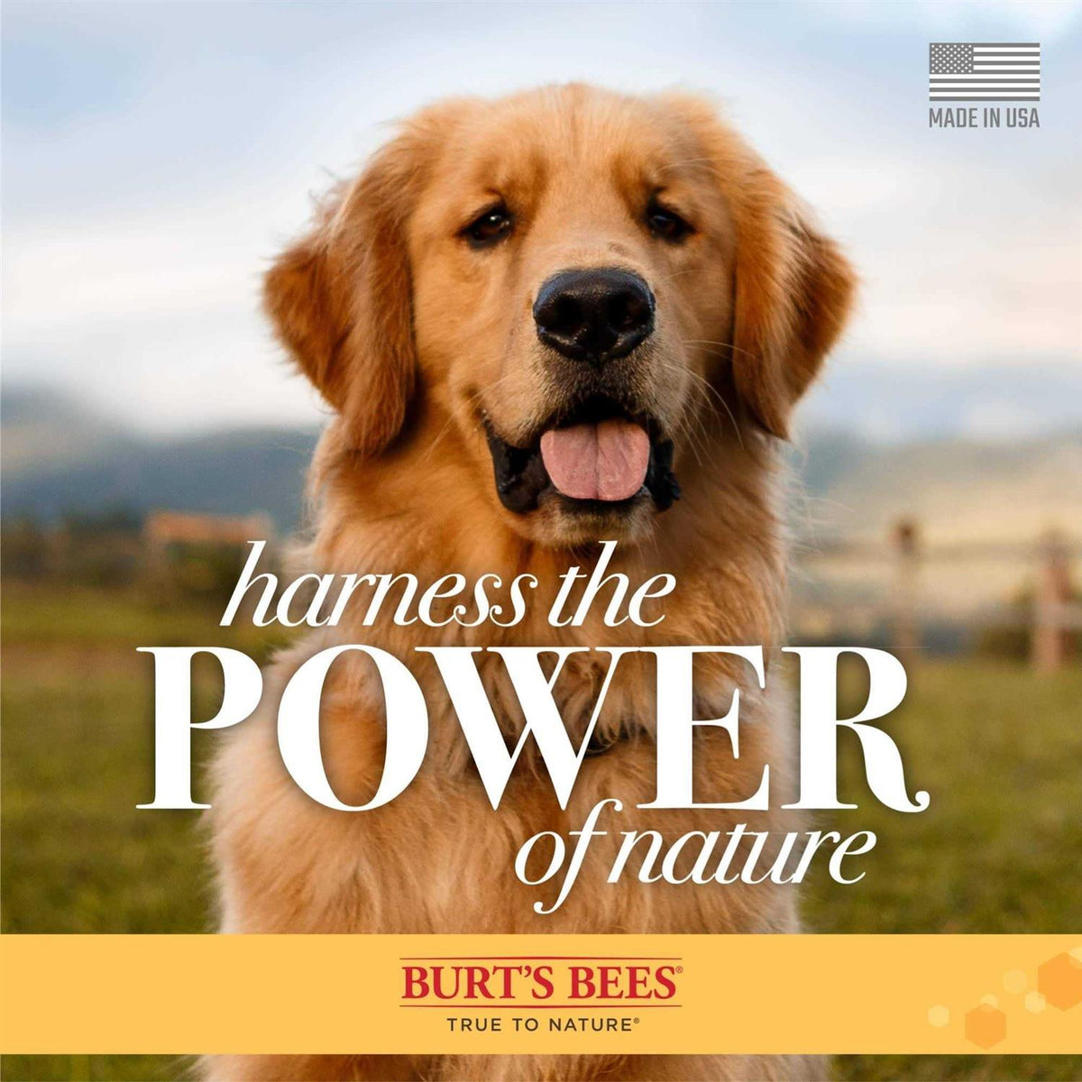 Milk & Honey Dog Shampoo & Conditioner O68543