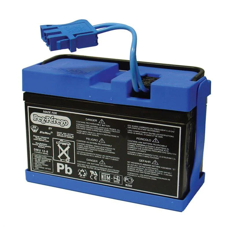 12-Volt Rechargeable Battery V119