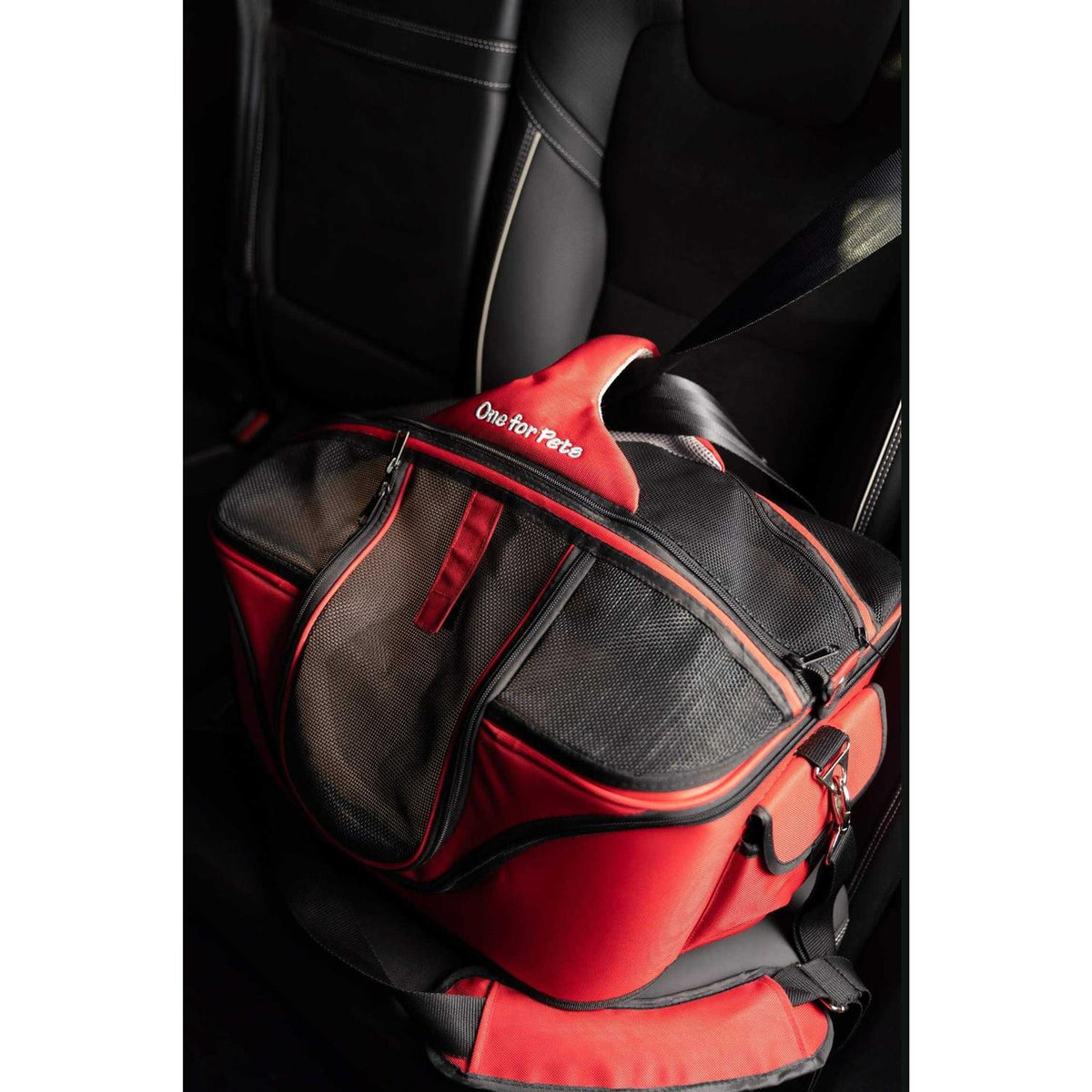 Cozy Pet Carrier B533