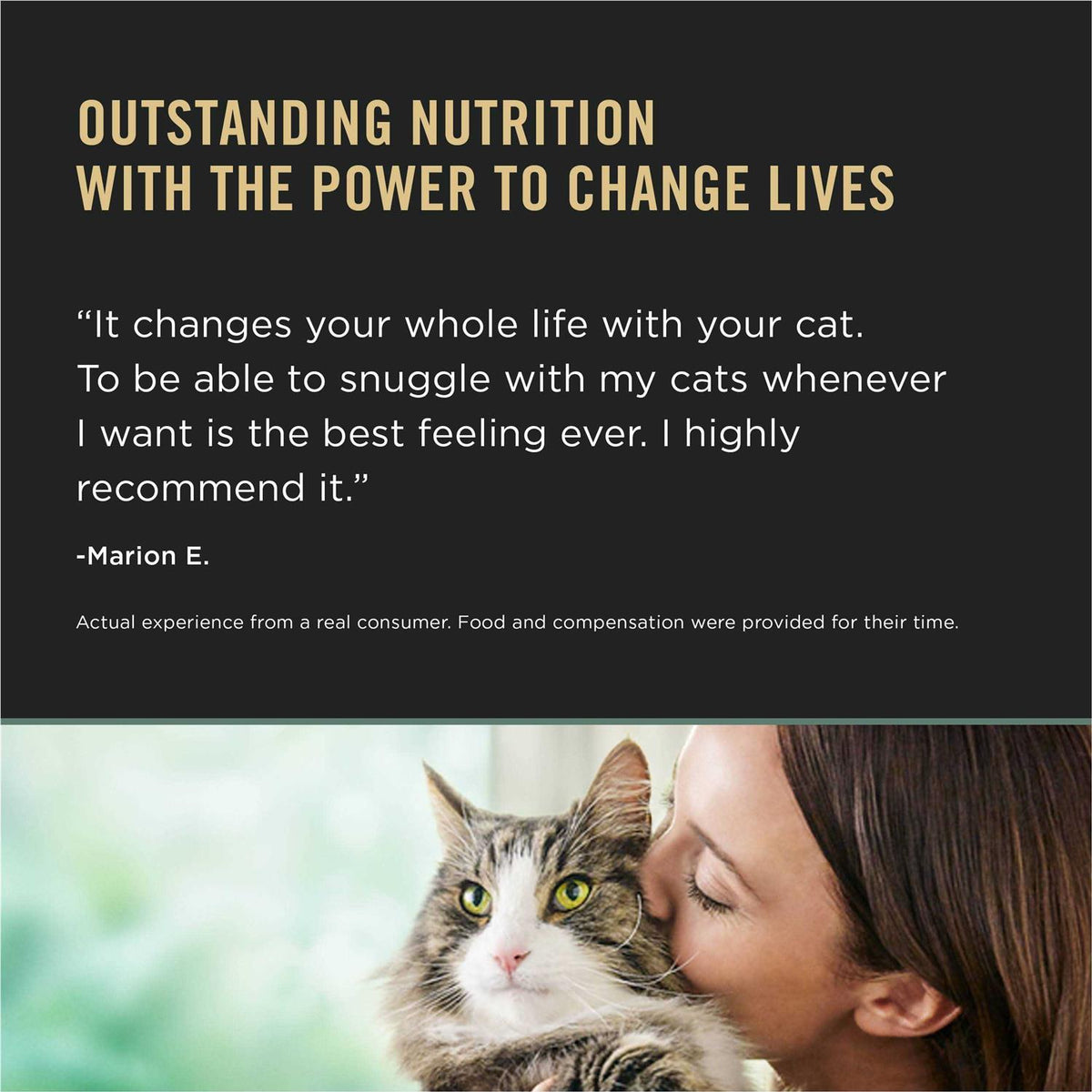 Chicken & Rice Dry Cat Food R52270